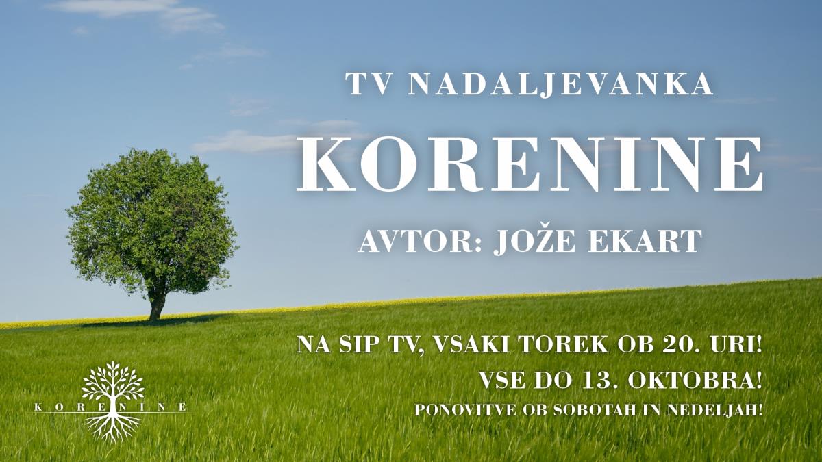 Korenine, predvajanje